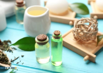 10 usos del aceite del árbol de té